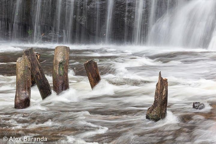 Phnom Kulen Waterfall & River of 1000 Linga Day Tour from Siem Reap