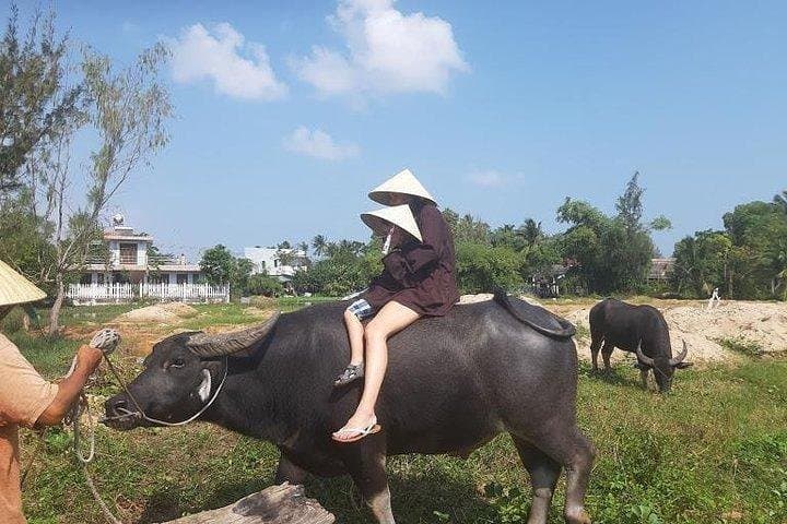 Pedal & Paddle: Tra Que Vegetable Village and Basket Boat Cultural Ride from Hoi An photo 3