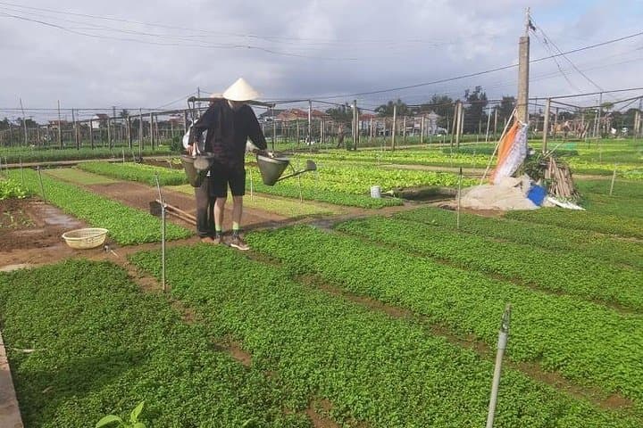 Pedal & Paddle: Tra Que Vegetable Village and Basket Boat Cultural Ride from Hoi An photo 6