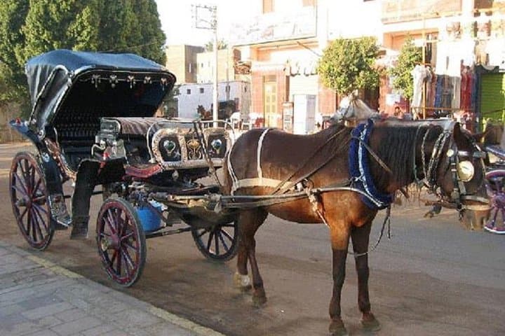 Luxor Horse-Drawn Carriage Tour — Temples, Market Lanes & Nile Corniche