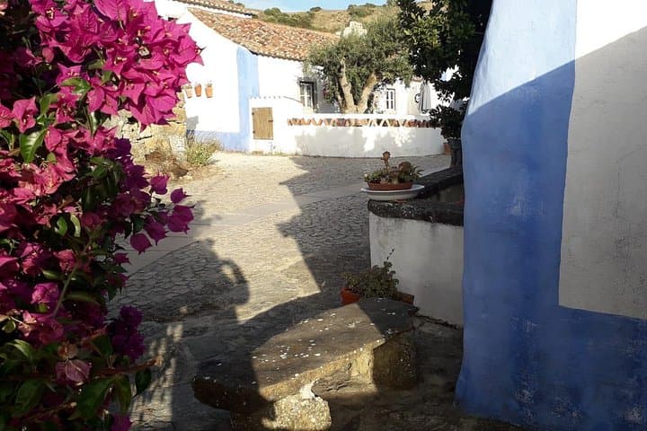Ericeira and Mafra Heritage Tour from Lisbon — Beaches, Palace & Rural Village