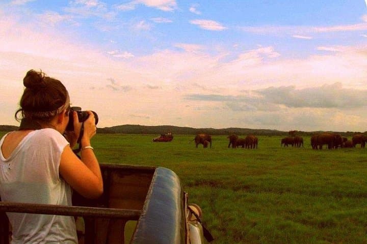 Yala National Park: 5-Day Leopard and Coastal Wildlife Safari photo 4