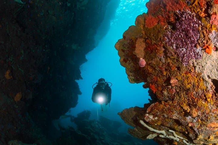 Tawali Resort: 7-Night Milne Bay Diving Expedition photo 5