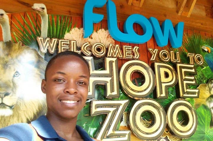 Kingston 3-in-1: Hope Botanical Gardens, Devon House & Portmore Boardwalk Beach photo 2
