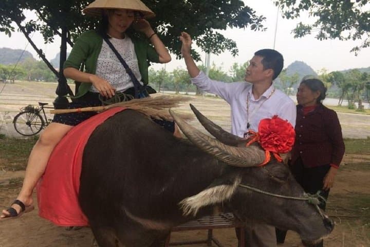 Hoa Lu, Tam Coc & Mua Cave Day Tour from Hanoi — Boat Ride, Cycling & Climb in Ninh Binh photo 3