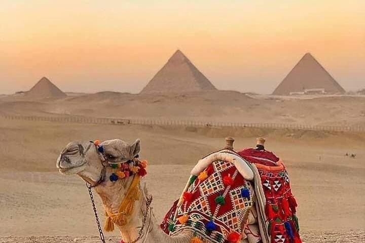 Sunset Camel Ride & BBQ at the Giza Pyramids — Evening Tour from Cairo photo 5