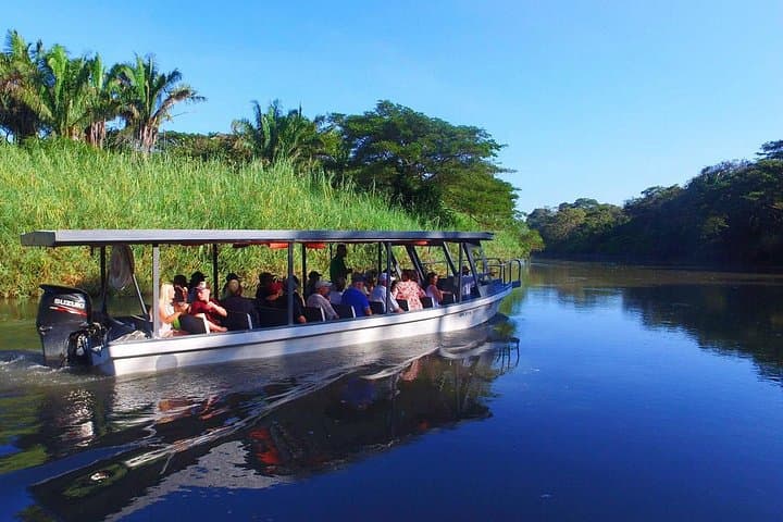 Palo Verde Wildlife & Tempisque River Boat Tour — Private Day Trip from Guanacaste