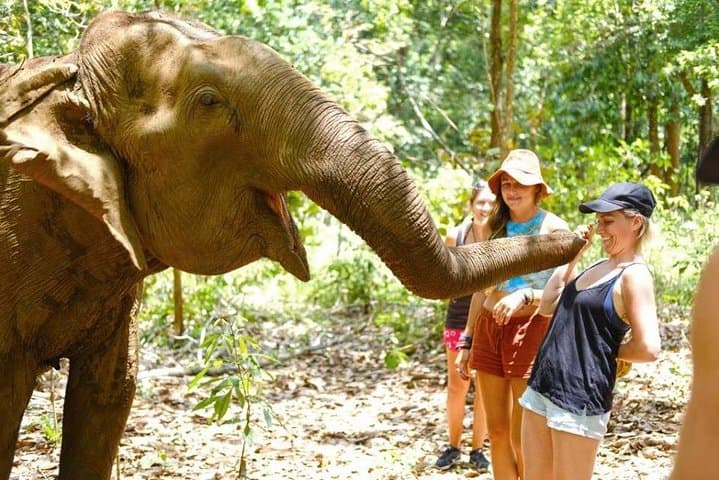 3-Day Jungle Trek in Virachey Forest: Banlung to Veun Sai Waterfalls photo 4