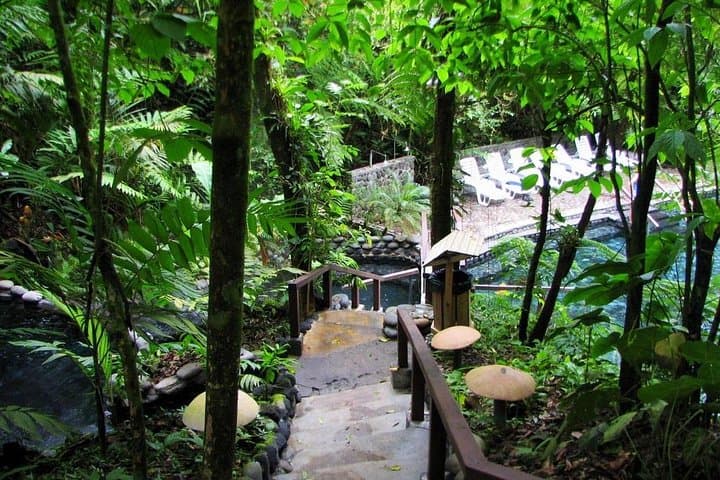 Day Trip from San José to Arenal Hanging Bridges & Tabacón Hot Springs photo 4
