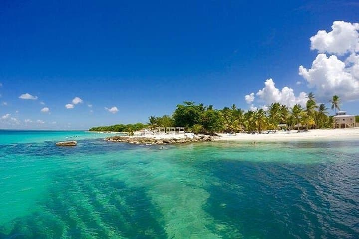 Full-Day Saona Island Catamaran Cruise from Punta Cana — All-Inclusive photo 3