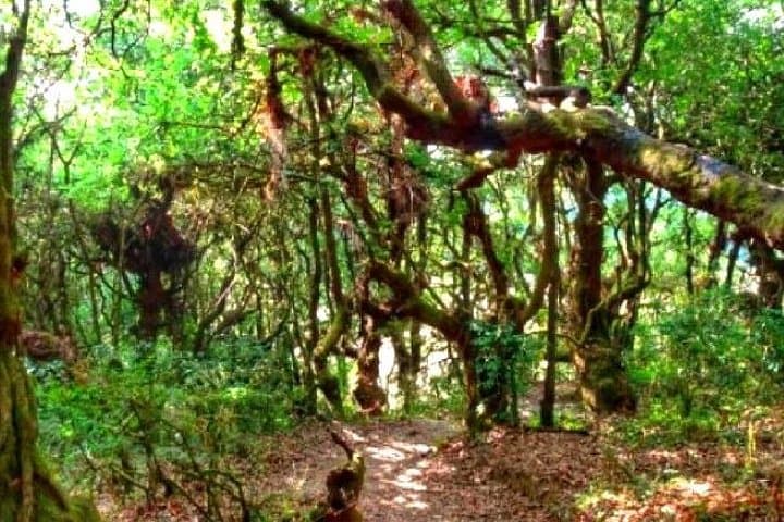 Day Hike to Nagi Gompa: Kathmandu Valley Monastery Trail photo 3