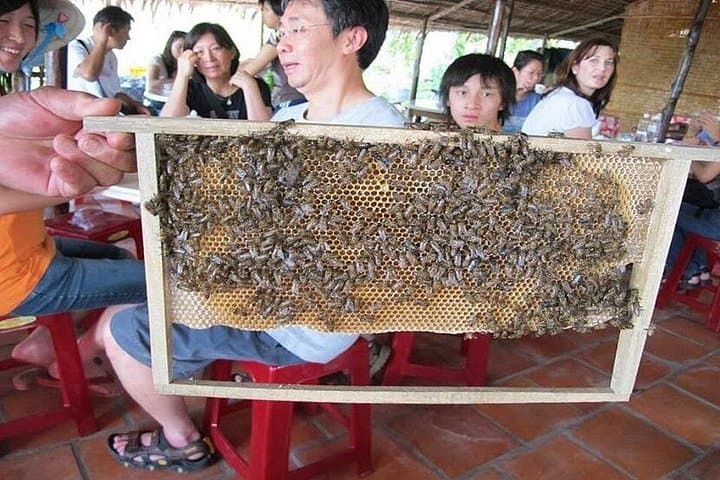 Full-Day Mekong Delta Discovery Tour from Ho Chi Minh City photo 6