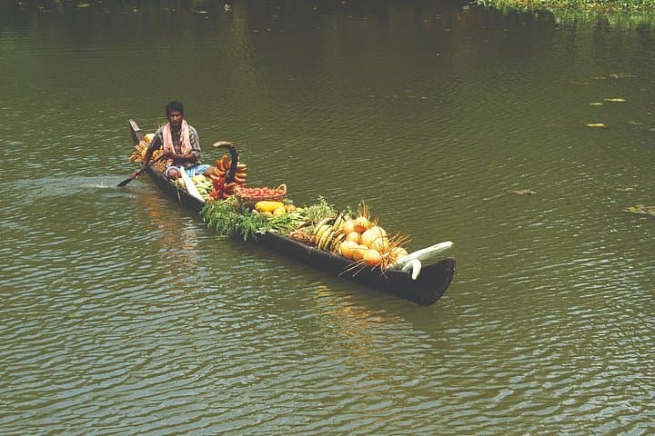 Best of Kerala 8-Day Tour: Kochi, Munnar, Thekkady & Backwaters photo 2