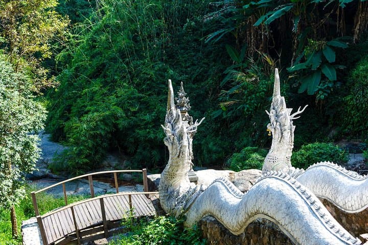 Chiang Mai Temple Tour: Doi Suthep, Wat Chedi Luang & Tha Phae Gate photo 4