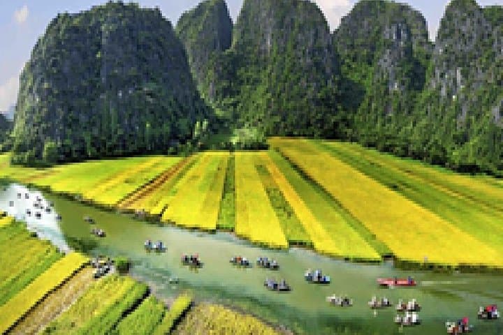 Hoa Lu, Tam Coc & Mua Cave Day Tour from Hanoi — Boat Ride, Cycling & Climb in Ninh Binh photo 6