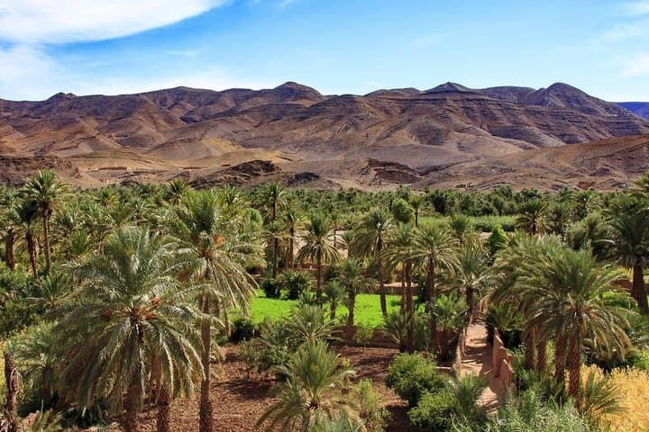4-Day Shared Desert Tour from Marrakech to Merzouga — Erg Chebbi Camel Trek & Overnight Camp photo 6