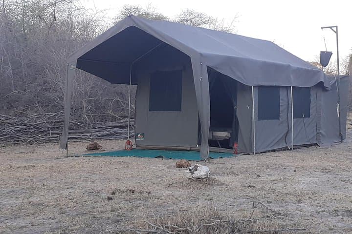 Moremi Hippo Mobile Tented Safari: 5-Day Semi-Luxury Okavango Wildlife Experience photo 6