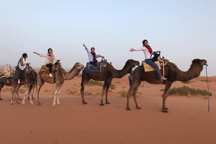 8-Day Morocco Tour from Marrakech — Imperial Cities, Atlas Pass & Erg Chebbi Desert photo 5