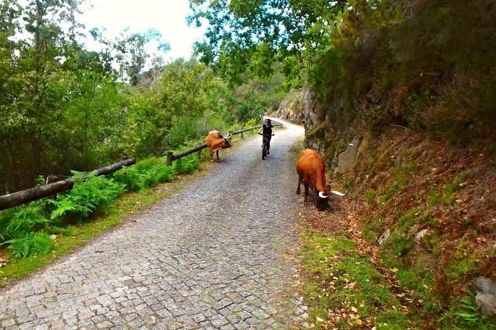 Peneda Geres E-Bike Tour: 35km Guided Mountain Ride from Braga photo 4