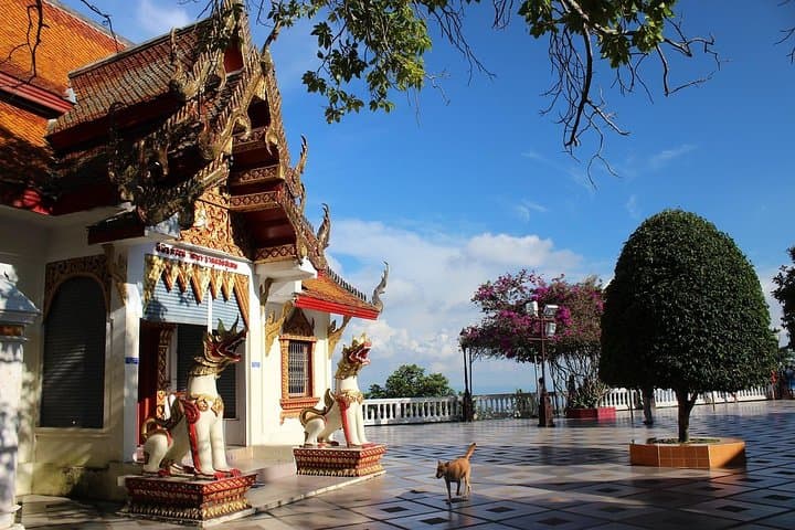 Chiang Mai Six-Temple Tour & Doi Suthep: A Day of Lanna Temples and City Views photo 4