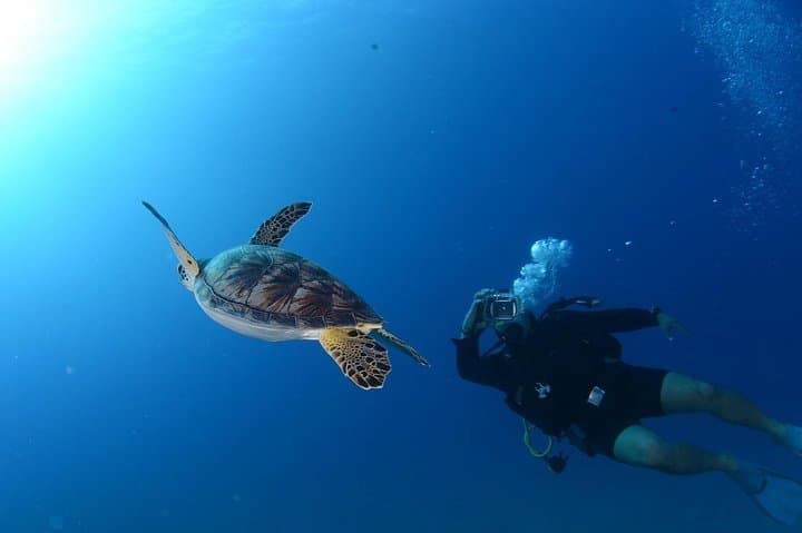 Scuba Diving from Bodrum: Aegean Amphora Fields & Shallow Reefs photo 6