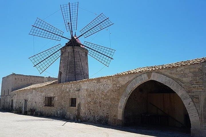 Private Salt Pans Tour in Trapani — Flamingos, Historic Mills & Salt Museum
