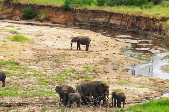 6-Day Northern Tanzania Safari: Tarangire, Serengeti & Ngorongoro Camping Safari photo 4