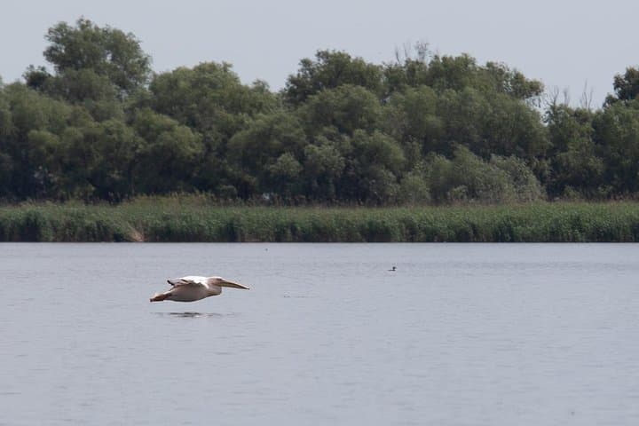 Black Sea & Danube Delta in 48 Hours: Culture, Birdlife and Boat Routes from Bucharest photo 2