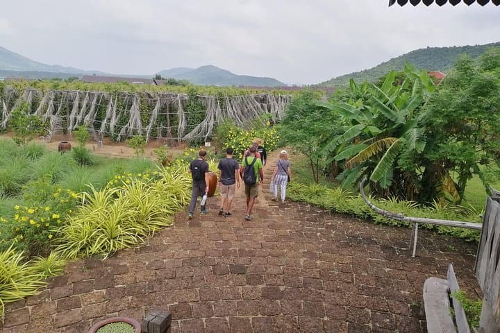 Kampot Day Tour: Pepper Plantations, Salt Fields & Phnom Chhngok Cave