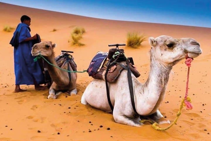 3-Day Merzouga Desert Tour from Errachidia — Erg Chebbi Camel Trek & Nomad Camp