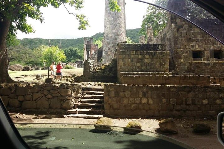 St Kitts Rainforest Tour: 2-Hour Eco Walk with Monkeys, Birds & Medicinal Plants photo 4