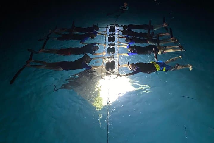 Kona Late-Night Manta Snorkel: Swim with Giant Rays from a 50' Catamaran photo 3