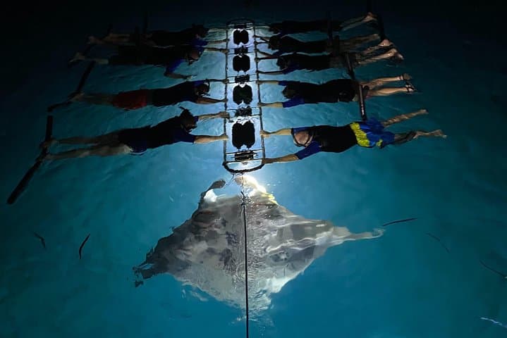 Kona Late-Night Manta Snorkel: Swim with Giant Rays from a 50' Catamaran photo 5