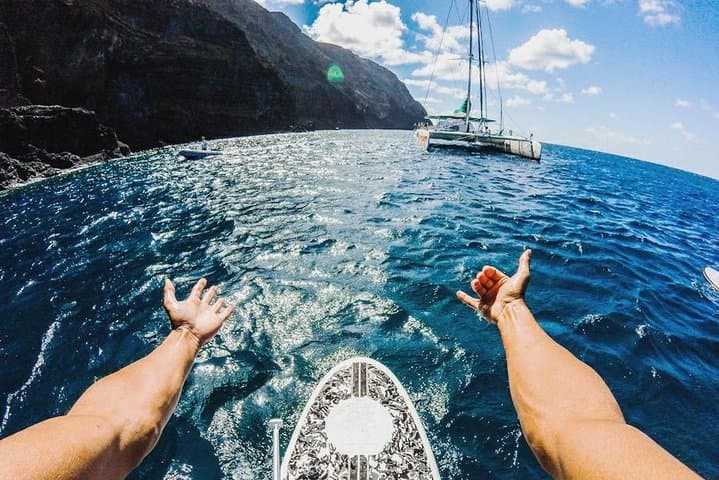 Desertas Islands Catamaran Cruise from Funchal — Snorkel, Paddle & Wildlife photo 4