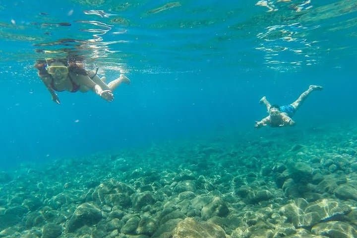 Desertas Islands Catamaran Cruise from Funchal — Snorkel, Paddle & Wildlife photo 5