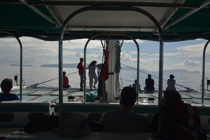 Desertas Islands Catamaran Cruise from Funchal — Snorkel, Paddle & Wildlife photo 6