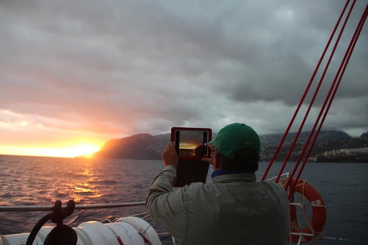 Funchal Catamaran Sunset Cruise: Dolphins, Swimming & Desertas Views photo 4
