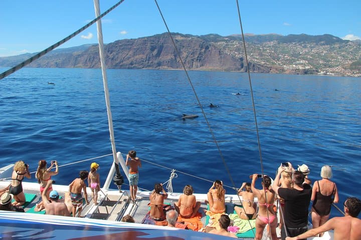 Funchal Catamaran Sunset Cruise: Dolphins, Swimming & Desertas Views photo 6