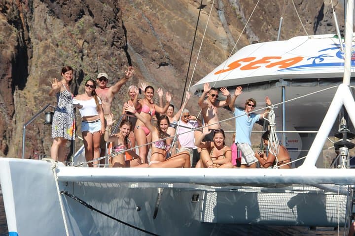 Madeira Catamaran Whale & Dolphin Watching from Funchal — 3-Hour Wildlife Cruise photo 3