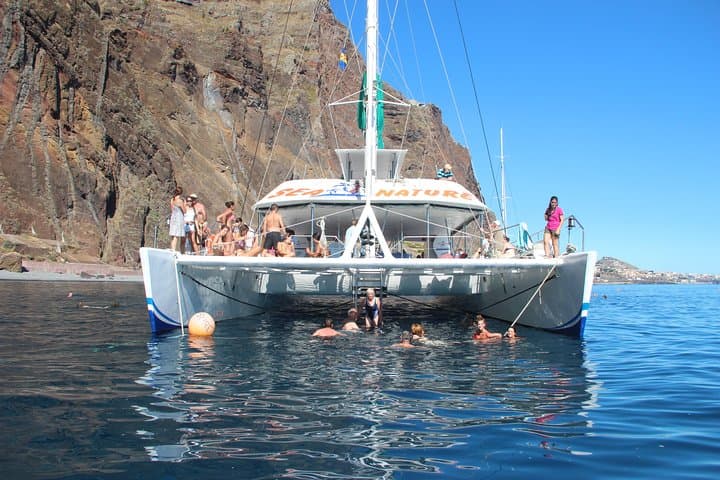 Madeira Catamaran Whale & Dolphin Watching from Funchal — 3-Hour Wildlife Cruise photo 6