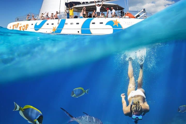Sosua Catamaran Snorkel: All-Inclusive Day Sail to Vibrant Reefs
