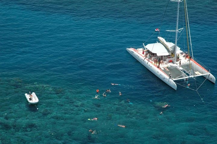 Sosua Catamaran Snorkel: All-Inclusive Day Sail to Vibrant Reefs photo 4