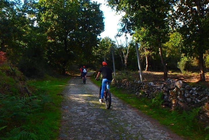 Two-Day Self-Guided E‑Bike Camino de Santiago: Valença to Santiago photo 3