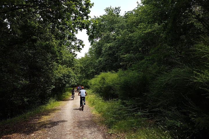 Two-Day Self-Guided E‑Bike Camino de Santiago: Valença to Santiago photo 5