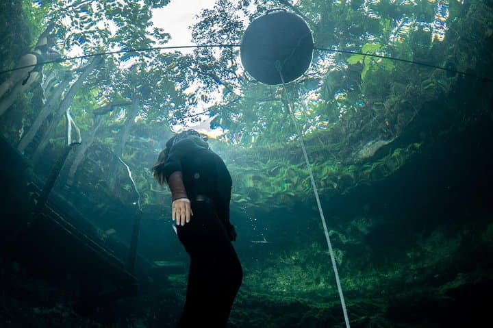 Try Freediving in a Yucatán Cenote — Intro Course from Playa del Carmen photo 4
