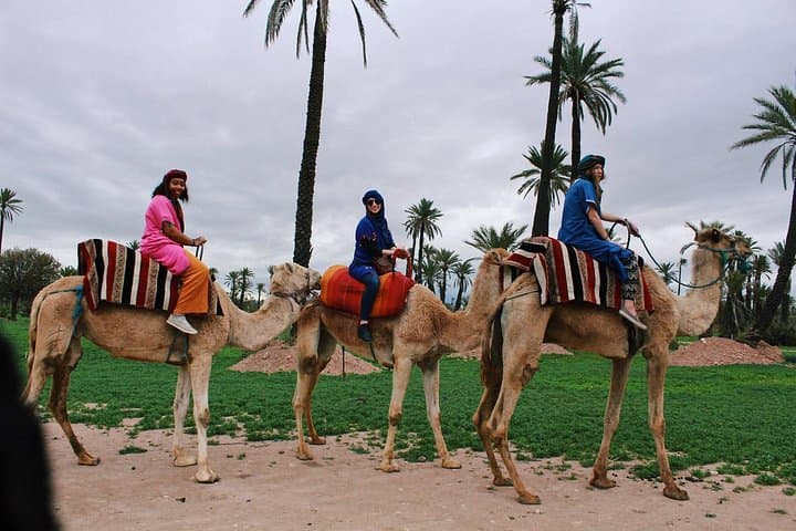 Camel Trails of the Palmeraie: 1-Hour Ride Through Marrakech’s Palm Grove photo 2