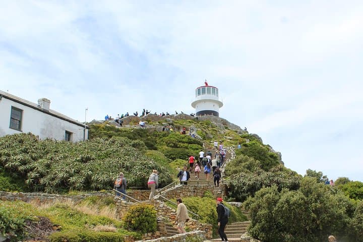 Cape of Good Hope, Table Mountain & Boulders Beach Day Tour from Cape Town photo 4