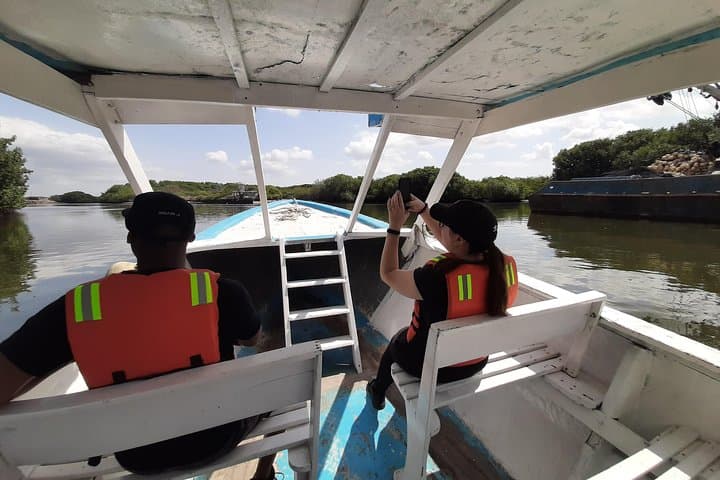Dolphin Watching from Guayaquil to Puerto El Morro — Full-Day Coastal Wildlife Cruise photo 2