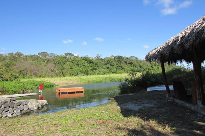 Granada Bird Watching Tour: Cloud-Forest Birds and Volcanic Hot Springs photo 6