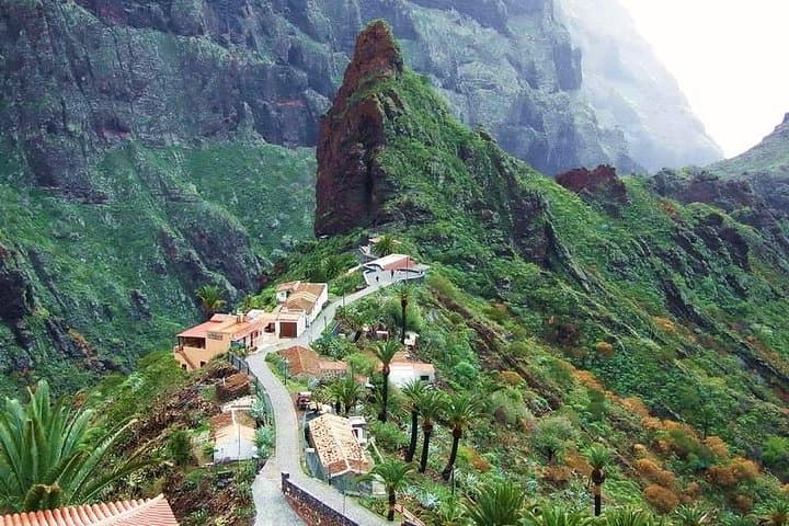 Teide and Masca Guided Day Tour from Puerto de la Cruz — Teide National Park, Masca & Coastal Villages photo 4